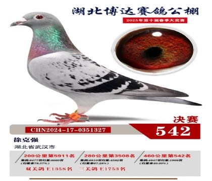 博達春棚決賽542名