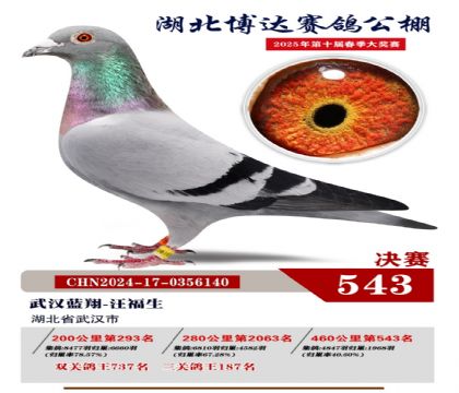 博達春棚決賽543名