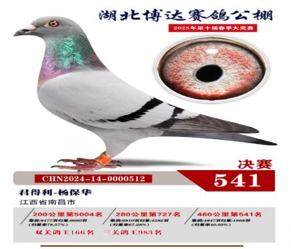 博達春棚決賽541名