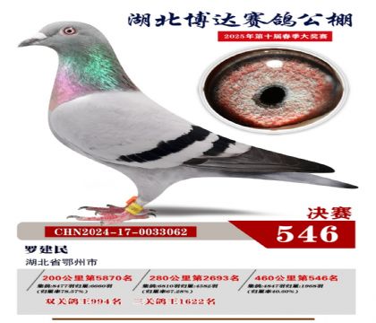 博達春棚決賽546名
