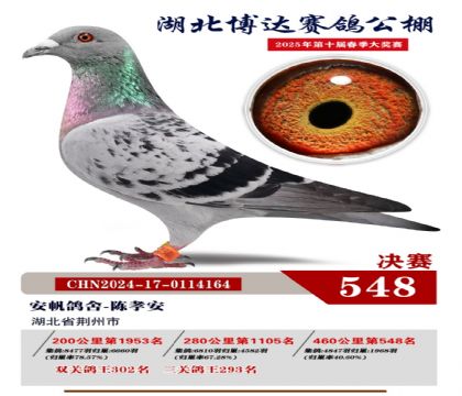 博達春棚決賽548名