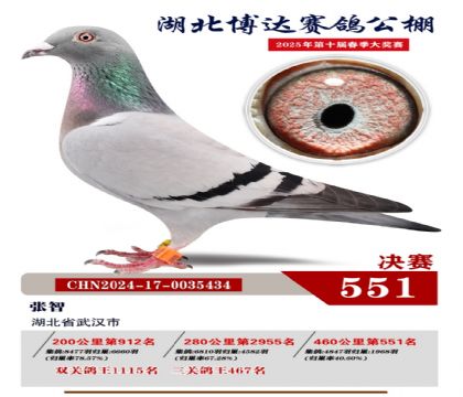 博達春棚決賽551名