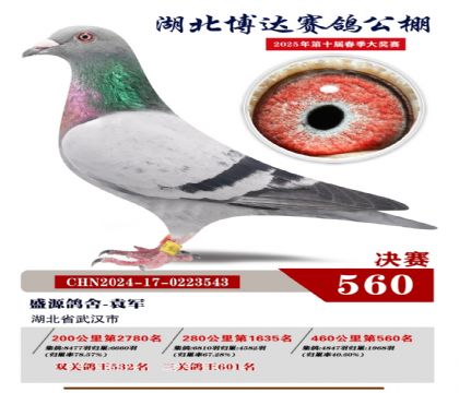 博達春棚決賽560名