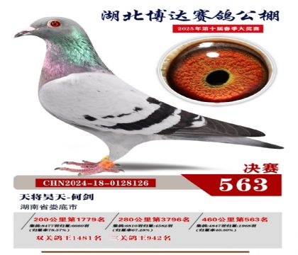 博達春棚決賽563名
