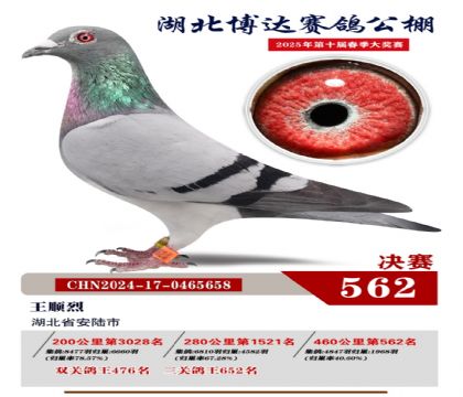 博達春棚決賽562名