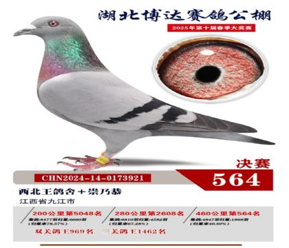 博達春棚決賽564名