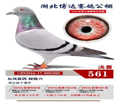 博達春棚決賽561名