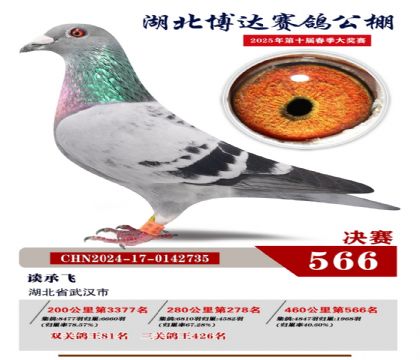 博達春棚決賽566名