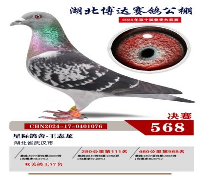 博達春棚決賽568名