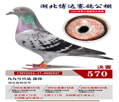 博達春棚決賽570名