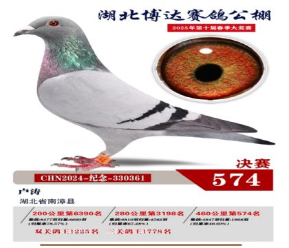 博達春棚決賽574名