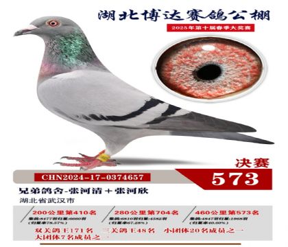 博達春棚決賽573名