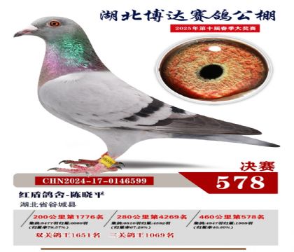 博達春棚決賽578名