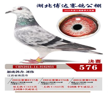 博達春棚決賽576名