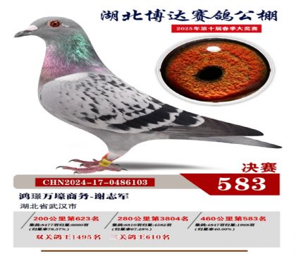 博達春棚決賽583名