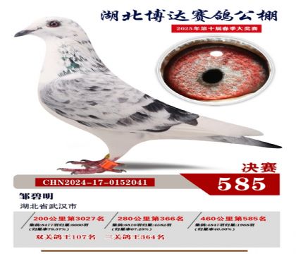 博達春棚決賽585名