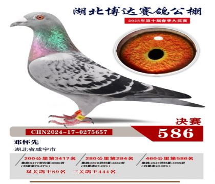 博達春棚決賽586名
