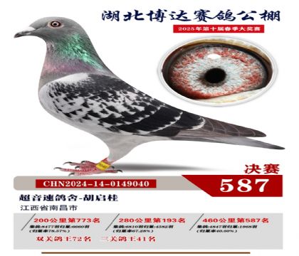 博達春棚決賽587名