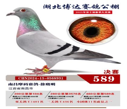 博達春棚決賽589名