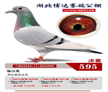 博達春棚決賽595名