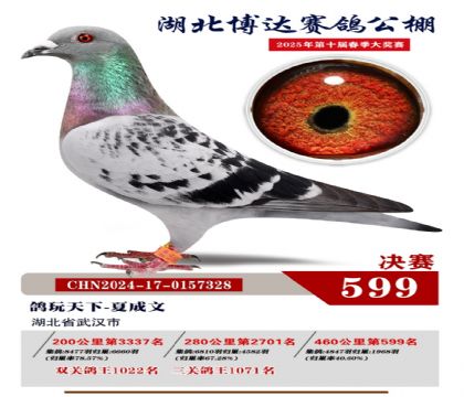 博達春棚決賽599名
