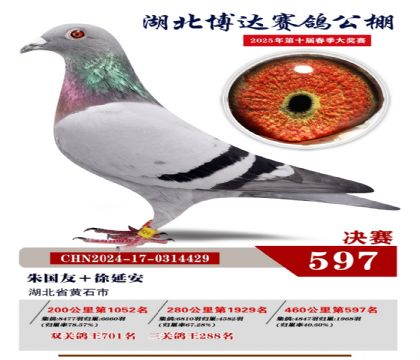博達春棚決賽597名