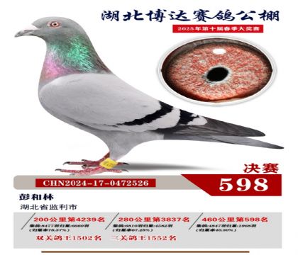 博達春棚決賽598名