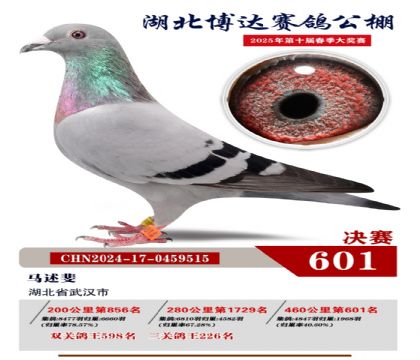 博達春棚決賽601名