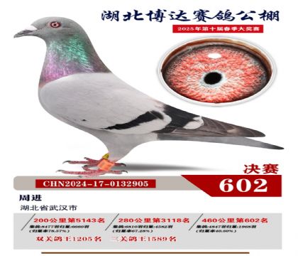 博達春棚決賽602名