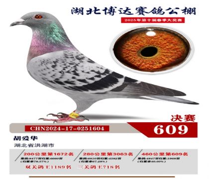 博達春棚決賽609名