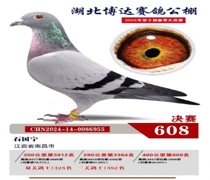 博達春棚決賽608名
