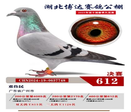 博達春棚決賽612名