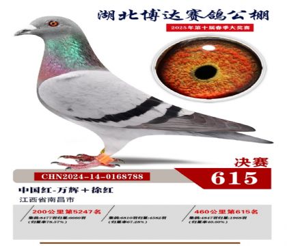 博達春棚決賽615名