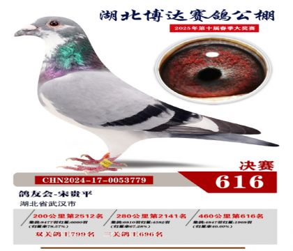博達春棚決賽616名