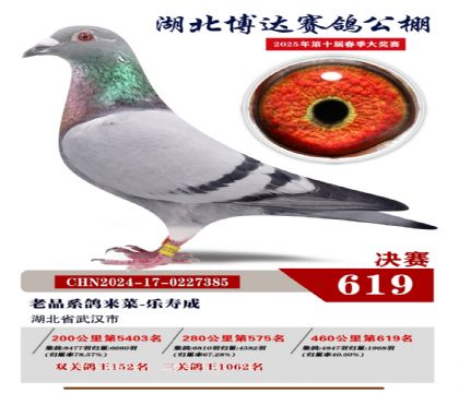 博達春棚決賽619名