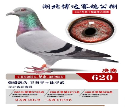 博達春棚決賽620名