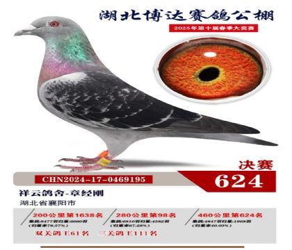 博達春棚決賽624名