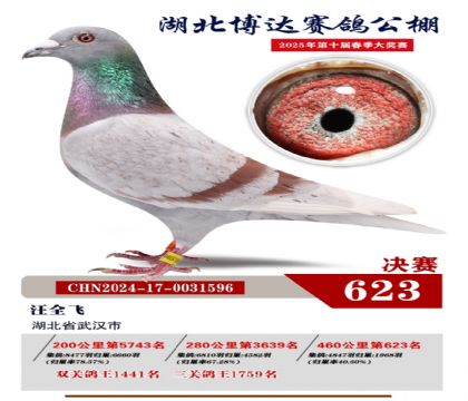 博達春棚決賽623名