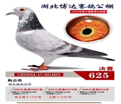 博達春棚決賽625名