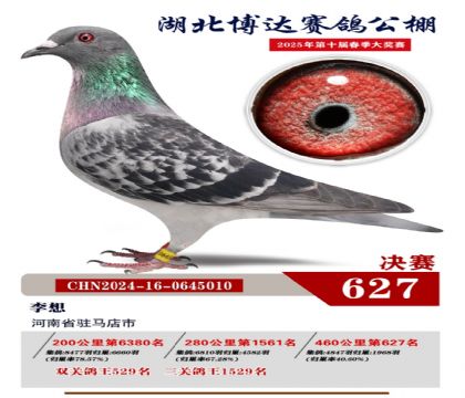 博達春棚決賽627名