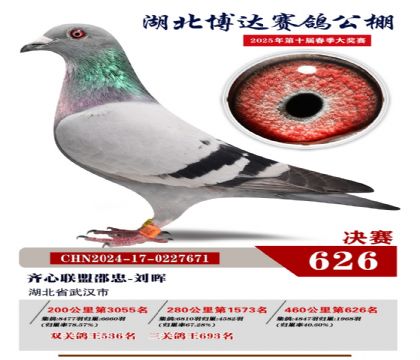 博達春棚決賽626名