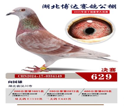 博達春棚決賽629名