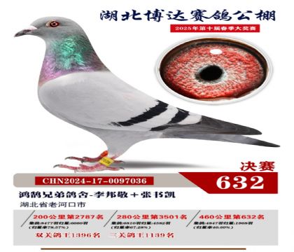 博達春棚決賽632名