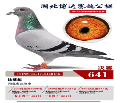 博達春棚決賽641名