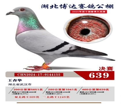 博達春棚決賽639名