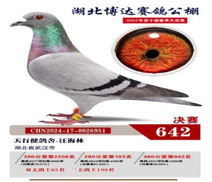 博達春棚決賽642名