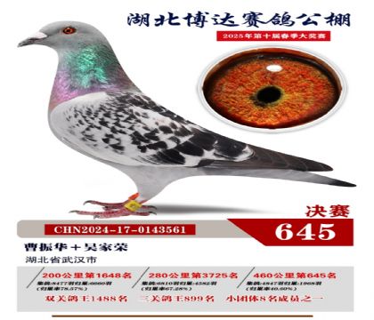 博達春棚決賽645名