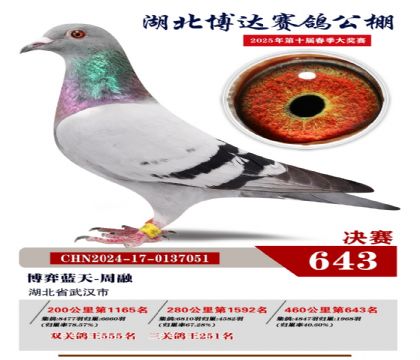 博達春棚決賽643名