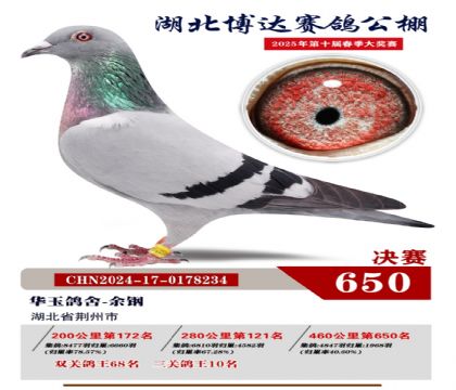 博達春棚決賽650名
