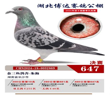 博達春棚決賽647名